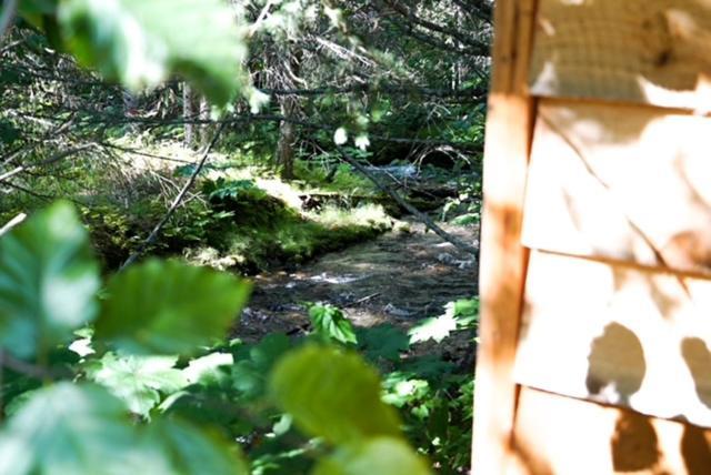 Hope Alaska'S Bear Creek Lodge Exteriér fotografie