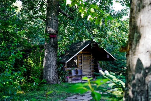 Hope Alaska'S Bear Creek Lodge Exteriér fotografie
