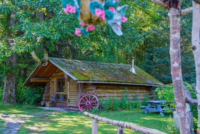 Hope Alaska'S Bear Creek Lodge Exteriér fotografie